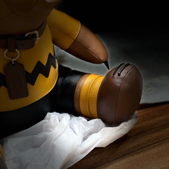 Coach x Peanuts Collab-Large CHARLIE BROWN Character-Limited Edition ULTRA-RARE! - Picture 10 of 15